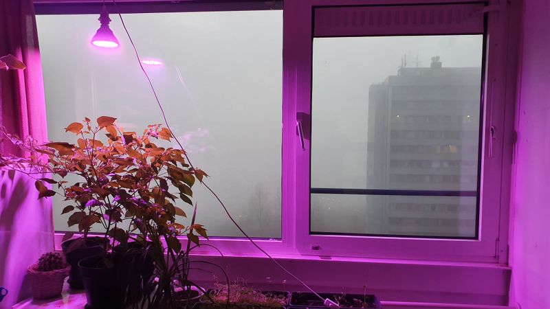 Datei:20191203 Atmosphäre E11.jpg