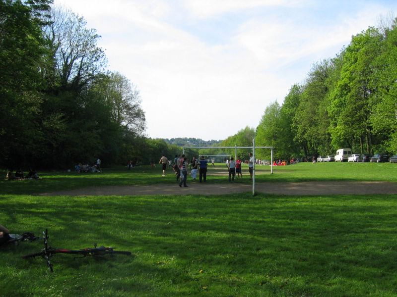 Datei:Grillwiese13.jpg