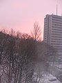 Und morgens wird man dann mit sowas belohnt.