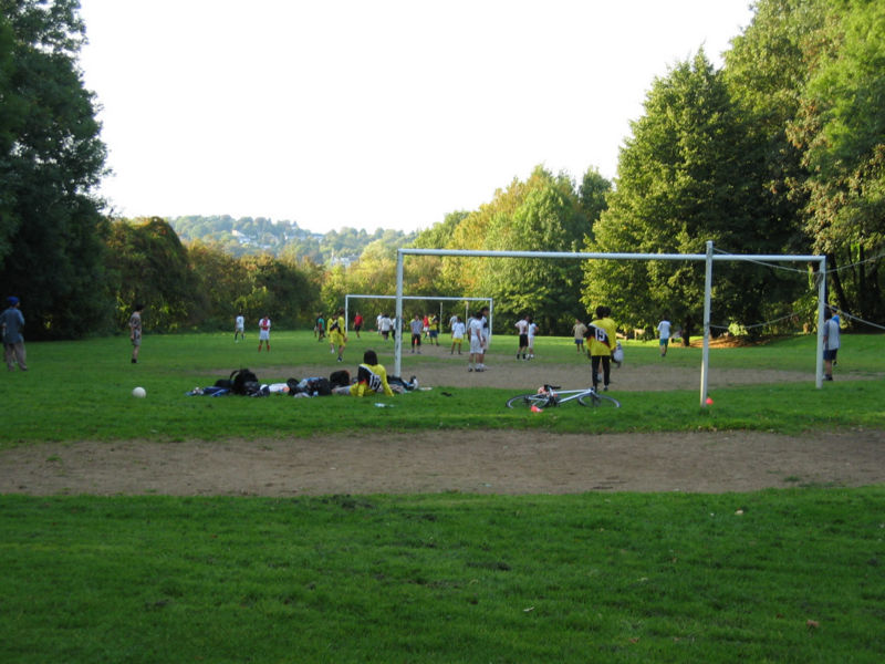 Datei:Grillwiese6.jpg