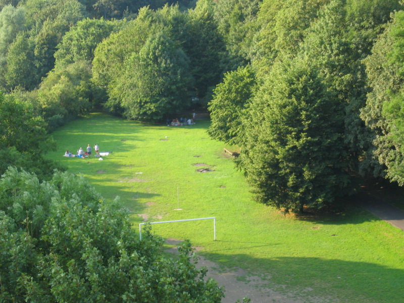 Datei:Grillwiese.jpg