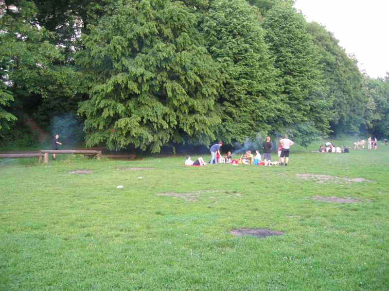 Datei:Grillwiese2.jpg
